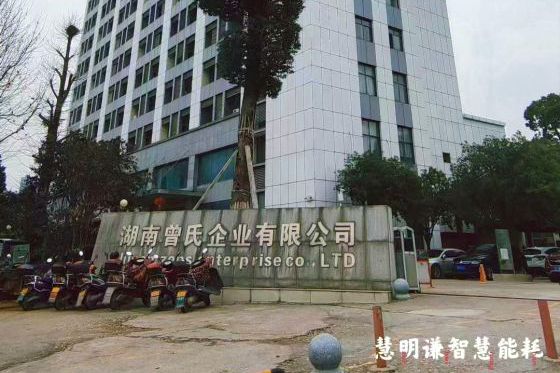 曾氏企业工业园智能电表改造项目